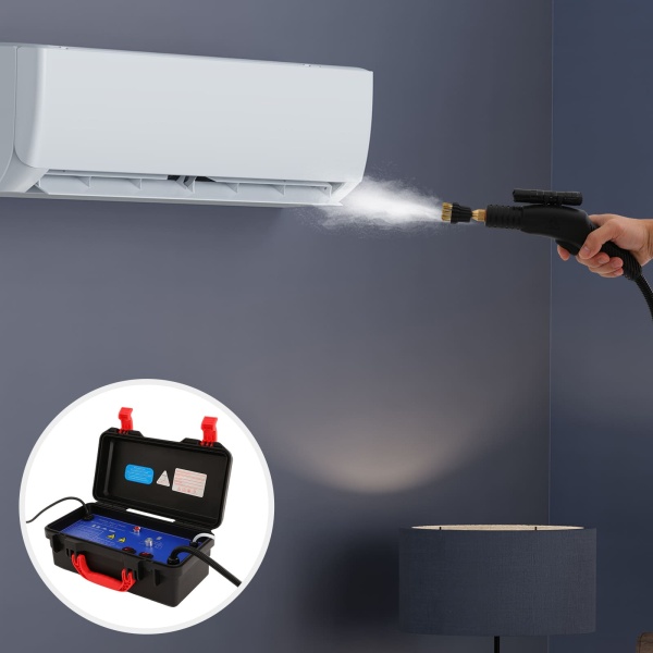 Draagbare 220 V compacte hogetemperatuurstoomreiniger voor in de auto