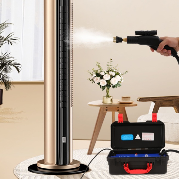 Draagbare 220 V compacte hogetemperatuurstoomreiniger voor in de auto