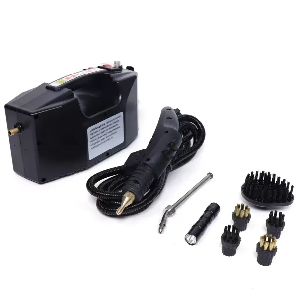 Handstoomreiniger voor huishoudelijke apparaten, elektrische stoom op hoge temperatuur en hoge druk, 220 V, 2600 W, 300-350 kPa