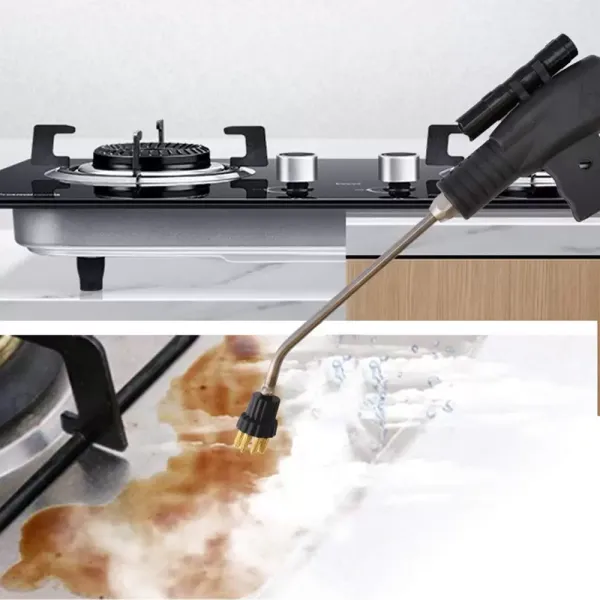 Handstoomreiniger voor huishoudelijke apparaten, elektrische stoom op hoge temperatuur en hoge druk, 220 V, 2600 W, 300-350 kPa