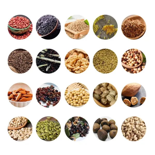 750W automatische oliemachine - Voor kokosnoot, raapzaad, sesam, pinda, kokosnoot - 50-250 °C 750W automatische oliemachine - Voor kokosnoot, raapzaad, sesam, pinda, kokosnoot - 50-250 °C