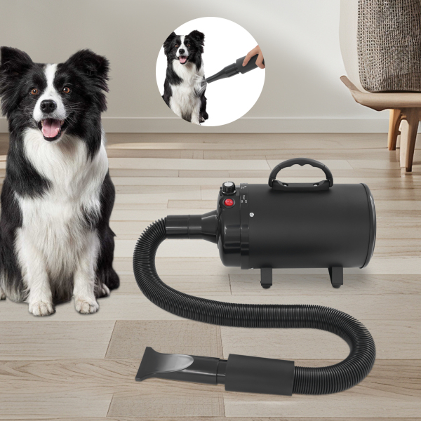 Haardroger voor huisdieren, kattendroger met elektrische honden, drogen van huisdieren met 4 sproeiers - zwart