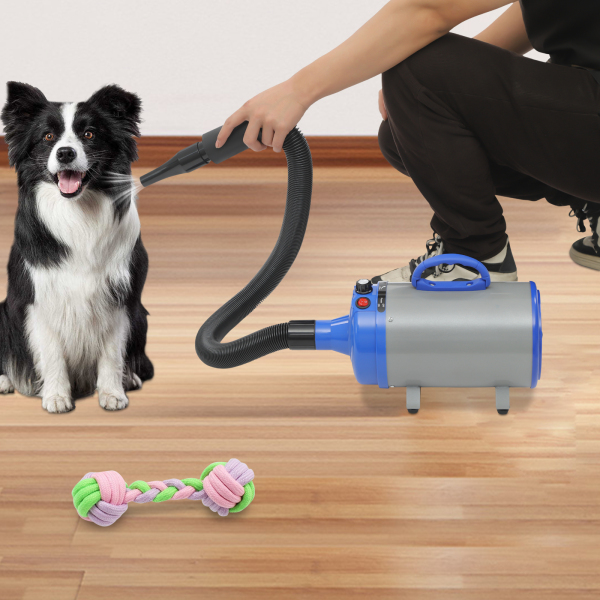 Haardroger voor huisdieren, kattendroger met elektrische honden, drogene machine met 4 sproeiers - blauw