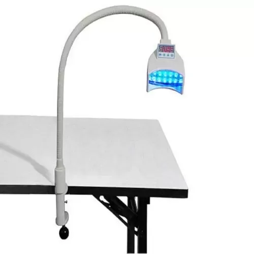 Tandlamp LED-display Whitening Koud licht Tandtandenmachine Tandheelkundige tandenbleeklamp
