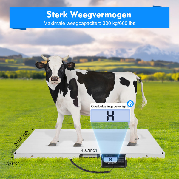 Multifunctionele digitale weegschaal voor huisdieren, roestvrijstalen weegschaal met LCD-display, maximaal draagvermogen 300kg/660lbs