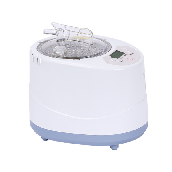 Sauna Stoomapparaat, Sauna Stoomapparaat 3 L, Draagbare Sauna Stoomapparaat, Intelligente Bediening, 1000W