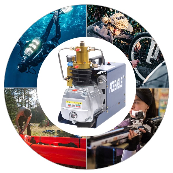 Auto 220V hogedruk luchtcompressor PCP luchtpistool dompelpomp, met olie-waterscheiding (standaardversie)