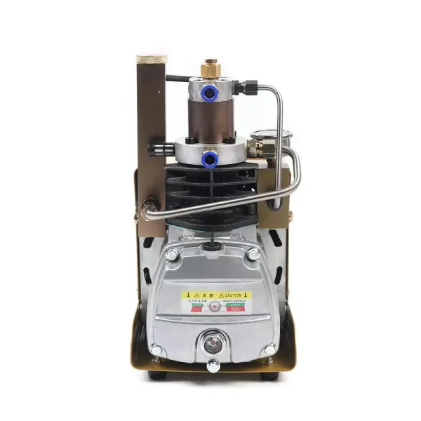 220V elektrische dompelpomp - PCP hogedrukluchtcompressor - dompelpomp - 30 MPa 4500PSI 220V elektrische dompelpomp - PCP hogedrukluchtcompressor - dompelpomp - 30 MPa 4500PSI