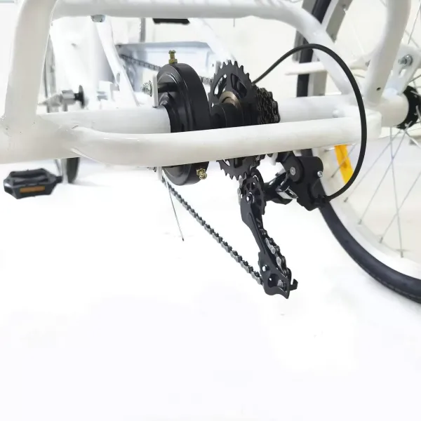 20" driewieler voor volwassenen, 8 versnellingen, 3 wielen voor seniorenfiets met mand