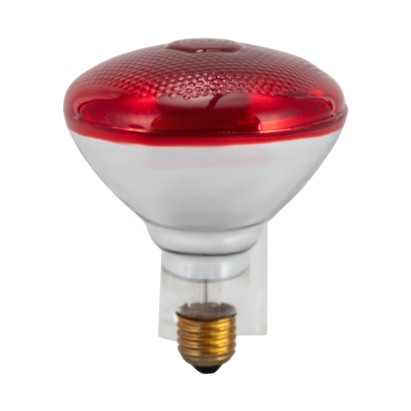 Infraroodlamp, infraroodlichttherapie, verwarmingstemperatuur: ongeveer 100℃, 220V, 150W, wit