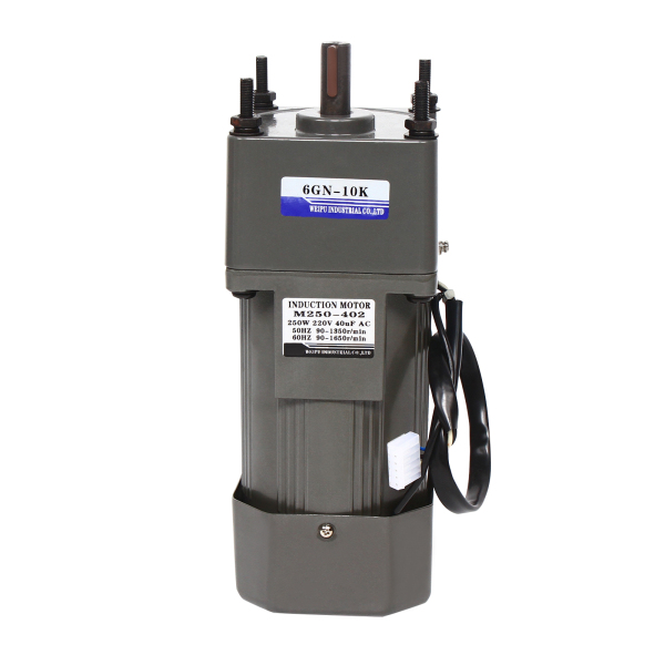 135rpm 220V AC-motor Mini-versnellingsbak Elektrische motor Hoog koppel 220V-versnellingsbakmotor Reductiemotor Omkeerbaar