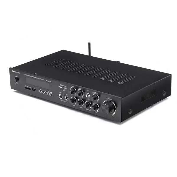 600W Mini HiFi Bluetooth-eindversterker - 4.2 FM/AM stereo digitale versterker - Audiokanaal