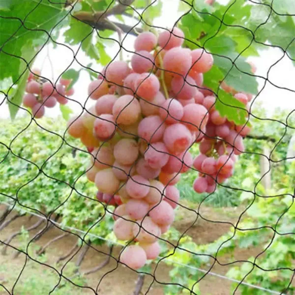 CNCEST 30X15M vogelbeschermingsnet beschermt fruitbomen tegen schade