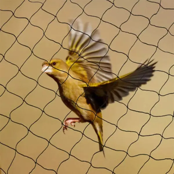 CNCEST 30X15M vogelbeschermingsnet beschermt fruitbomen tegen schade