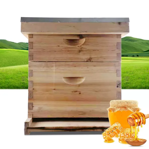 Hive Bee Flow Hive Bijenkorf Houten kist voor bijenteelt