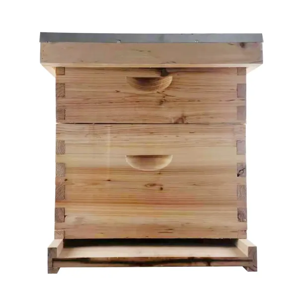 Hive Bee Flow Hive Bijenkorf Houten kist voor bijenteelt