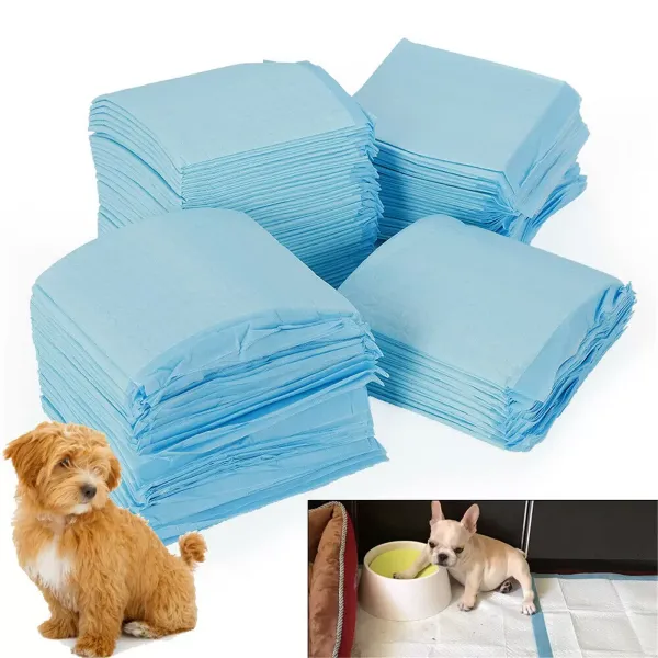 100 stuks huisdiertrainingsmat hond kat speelkleed veilig en niet-giftig in gebruik 33x45cm