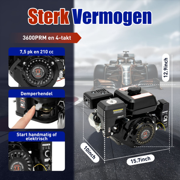 212 cm³ 4-takt benzinemotor - 7,5 PK OHV kolommotor - Easy start met elektrische start - 1 cilinder