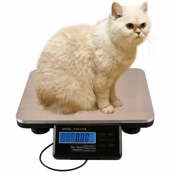 Digitale pakkettenweegschaal 300 g met LCD-display, 2 weegmodi en 6 functietoetsen