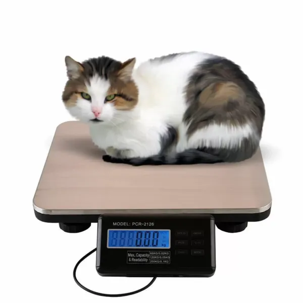 Digitale pakkettenweegschaal 300 g met LCD-display, 2 weegmodi en 6 functietoetsen