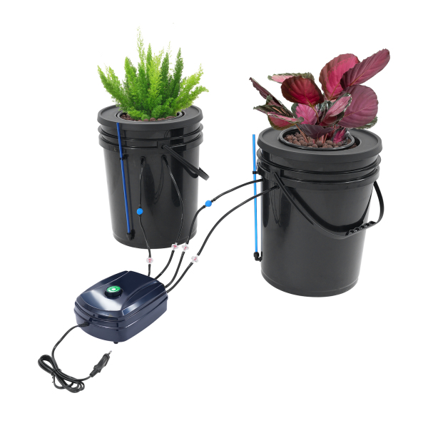 2 stuks Hydroponisch teeltsysteem, 5-Gallon Diepwatercultuur met luchtpomp, mechanisme van diepwaterteelt