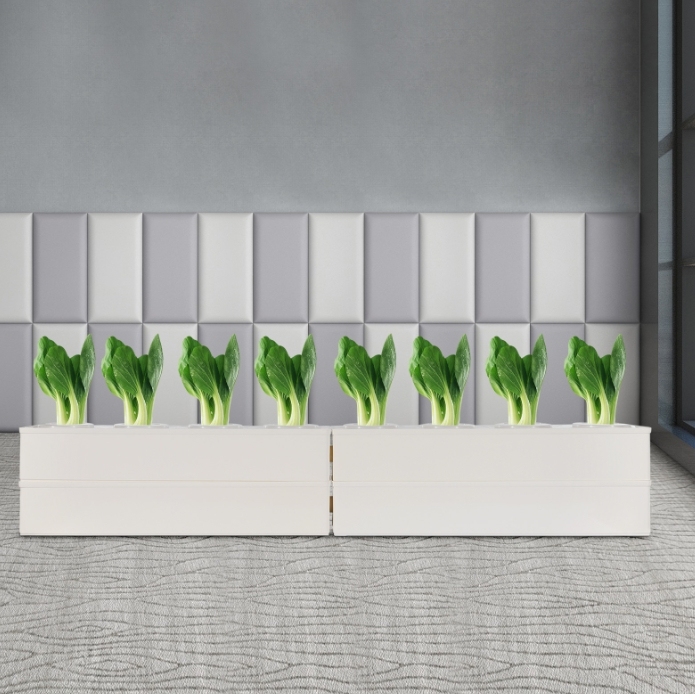 Intelligente grondloze kweekapparatuur, hydrocultuur plantapparatuurkit (eerste en laatste installatie)
