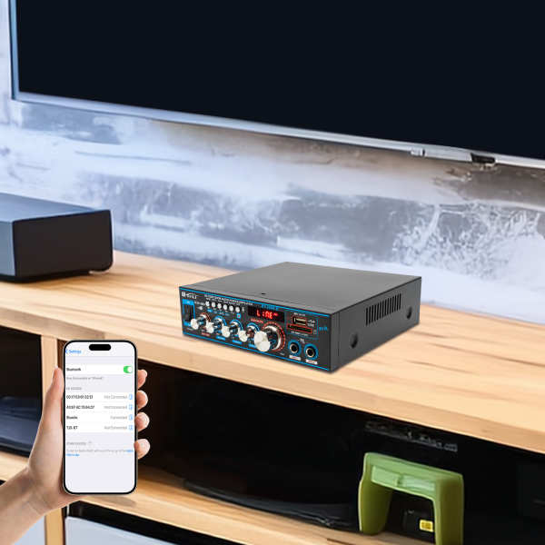 HiFi-stereoversterker - Digitale Bluetooth - FM-audioversterker - 12V/220V - 2CH Ingebouwde Bluetooth-versterker