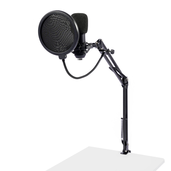 Podcastmicrofoon met stemwisselaar, studiocondensatormicrofoon voor zangopname, pc, TikTok, YouTube